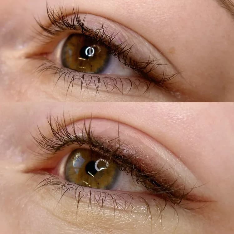 Dusty Shadow Liner procedure close-up